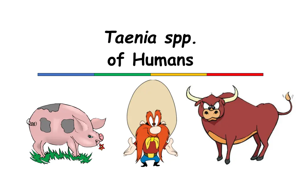 taenia spp of humans