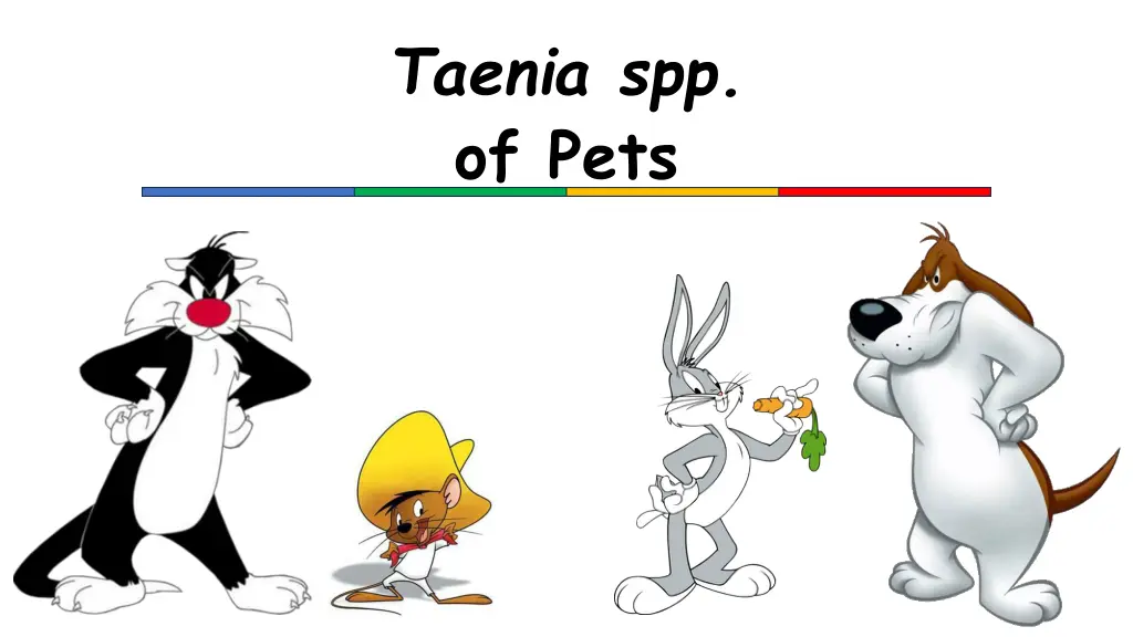 taenia spp of pets