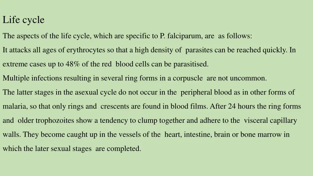 life cycle