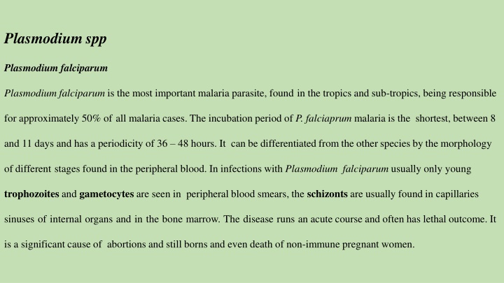 plasmodium spp