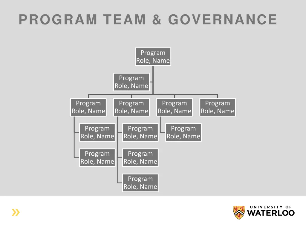 program team governance