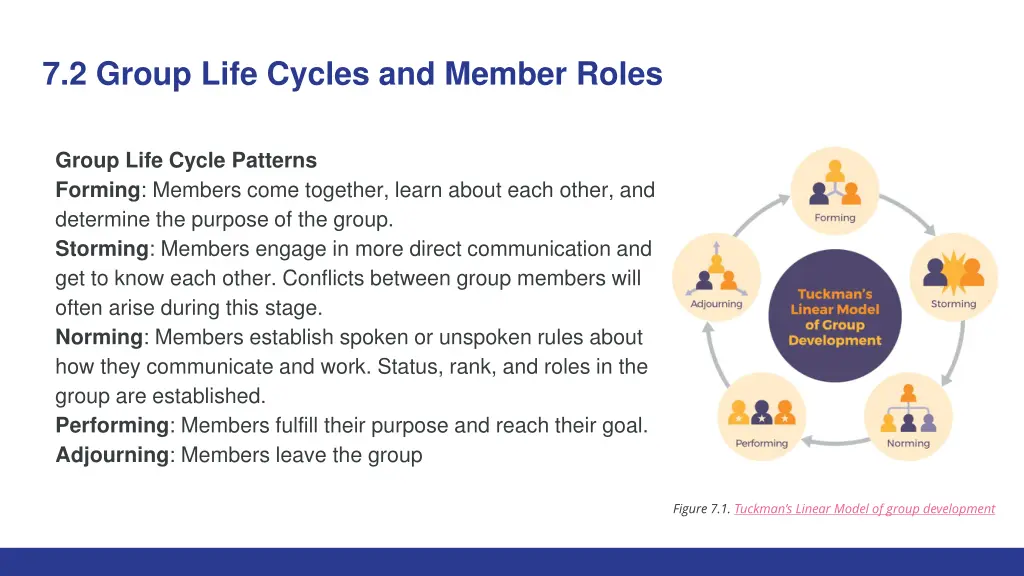 7 2 group life cycles and member roles