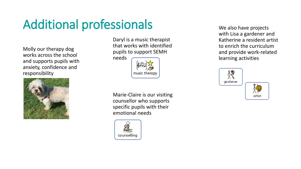 additional professionals additional professionals