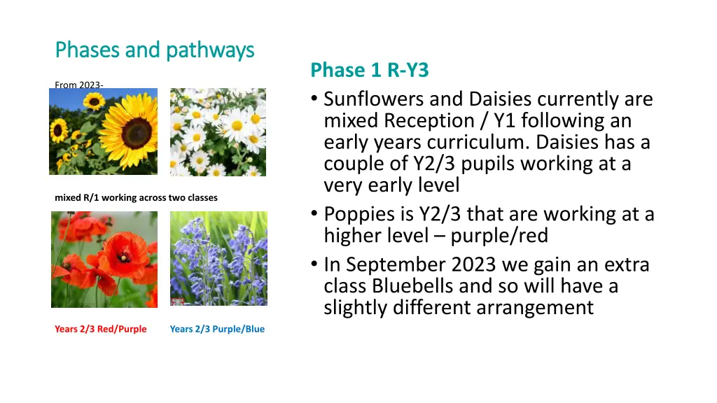 phases and pathways phases and pathways