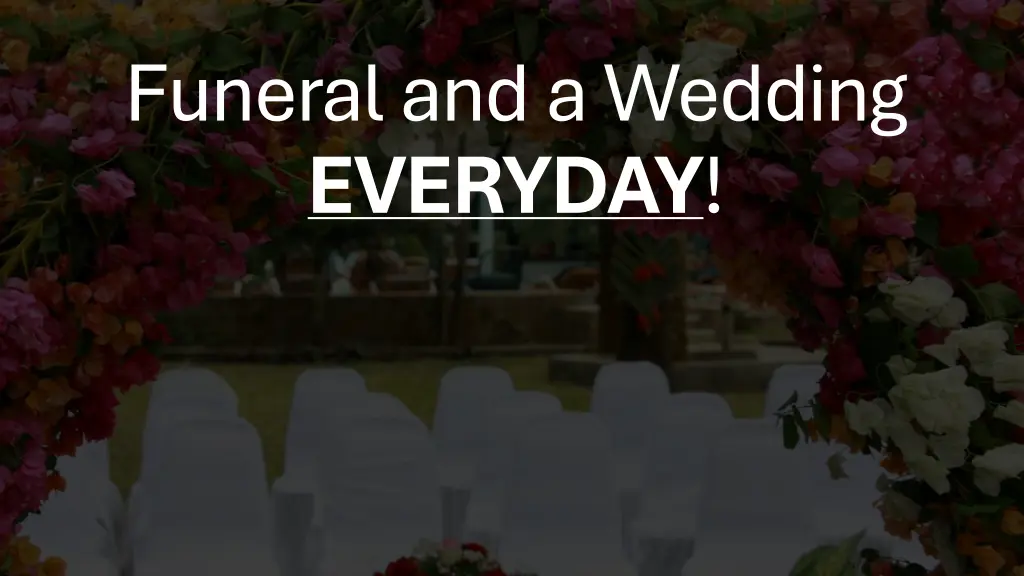 funeral and a wedding everyday
