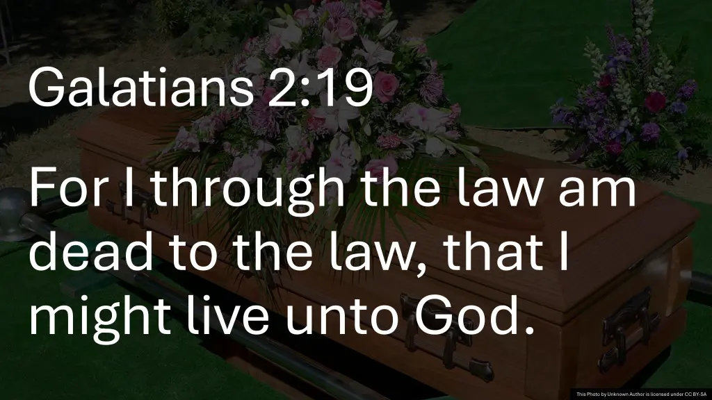 galatians 2 19 for i through the law am dead