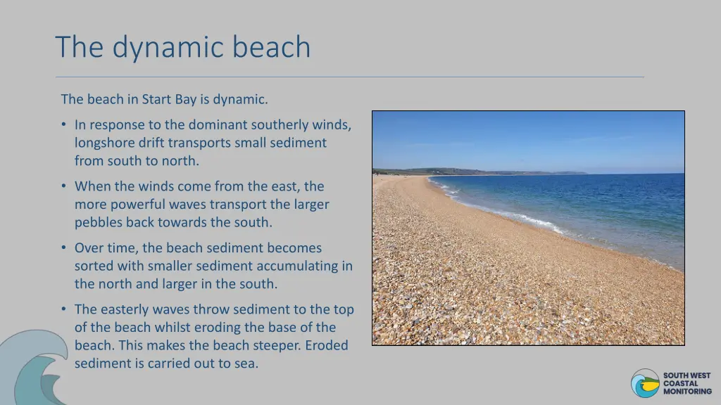 the dynamic beach