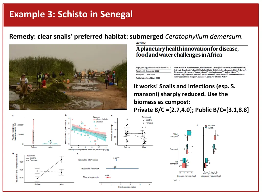 example 3 schisto in senegal