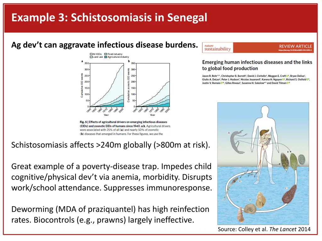example 3 schistosomiasis in senegal