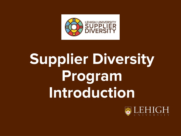 supplier diversity program introduction