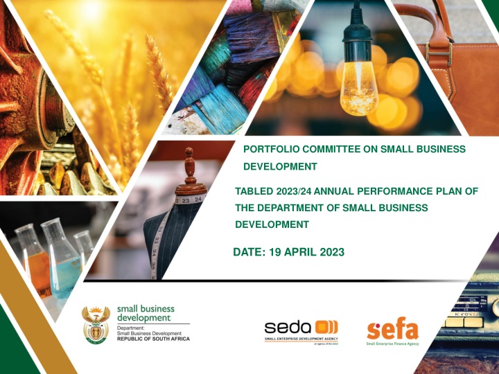 portfolio committee on small business