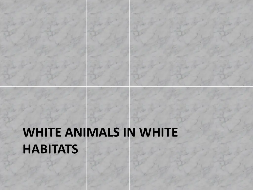 white animals in white habitats