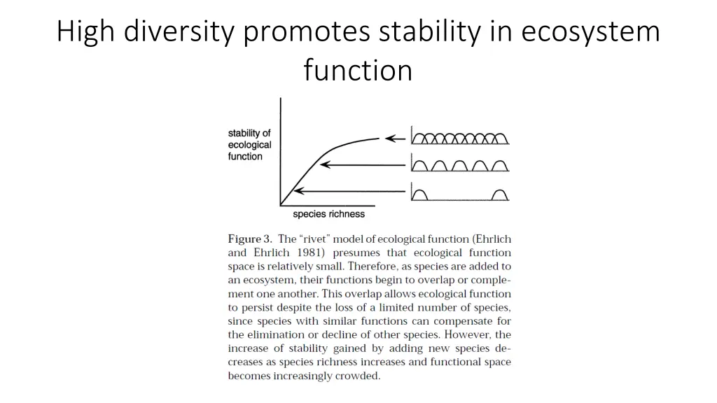 high diversity promotes stability in ecosystem