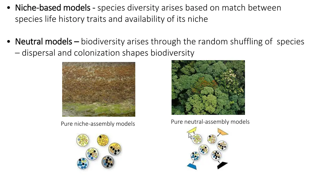 niche niche based models based models species