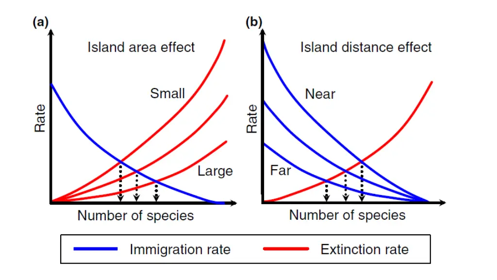 slide13