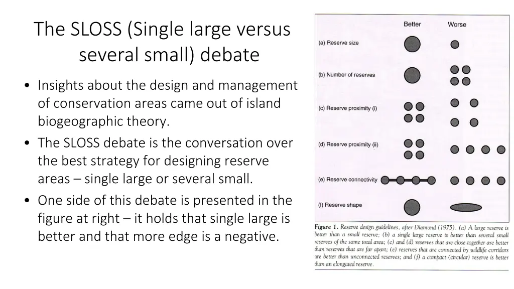 the sloss single large versus several small debate