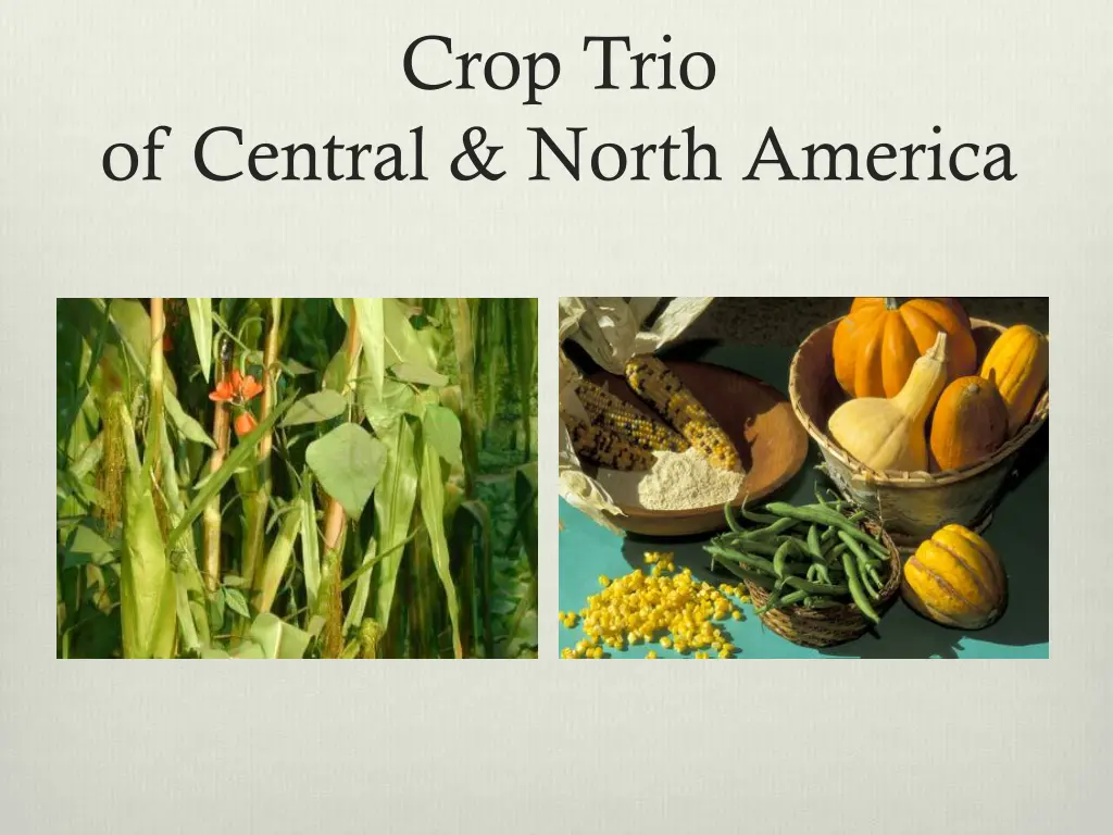 crop trio