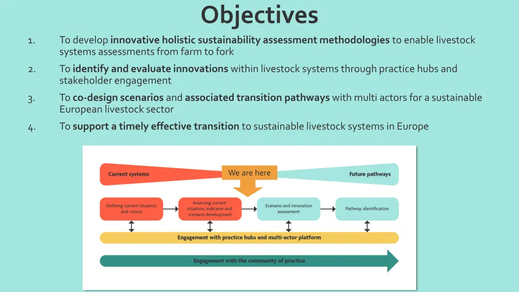 objectives