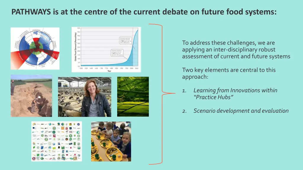 pathways is at the centre of the current debate