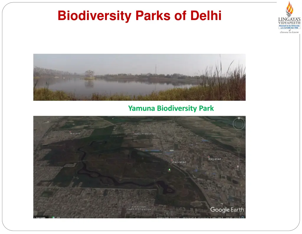 biodiversity parks of delhi 1