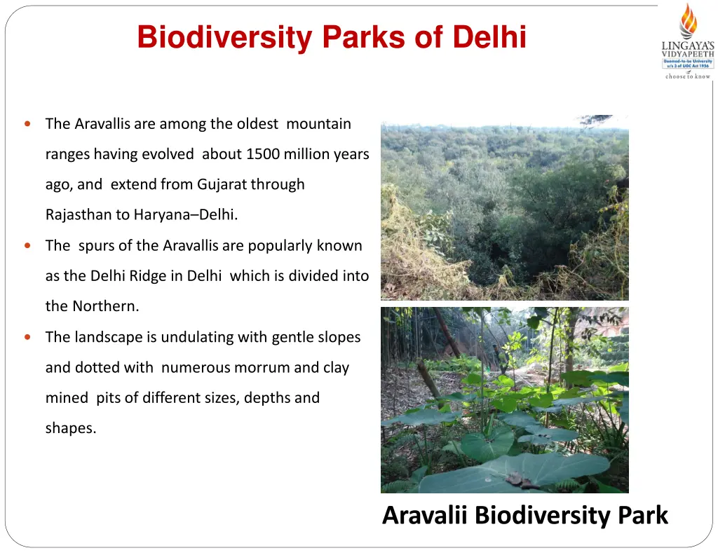 biodiversity parks of delhi 4