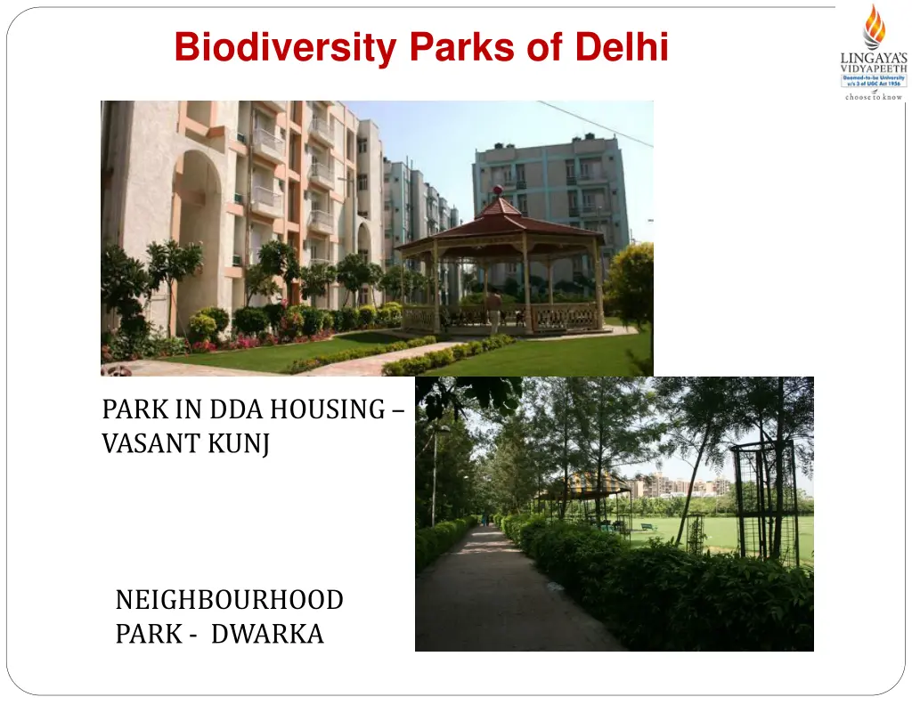 biodiversity parks of delhi 6