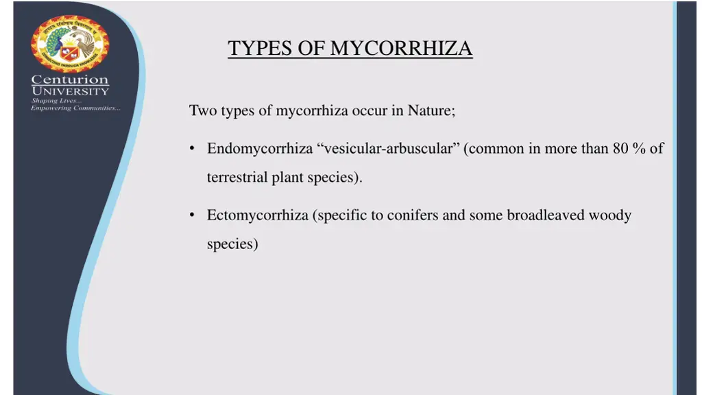 types of mycorrhiza