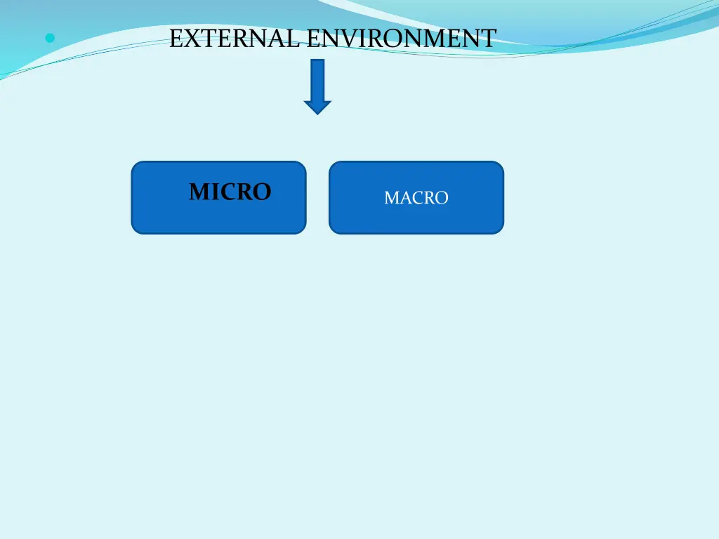 external environment