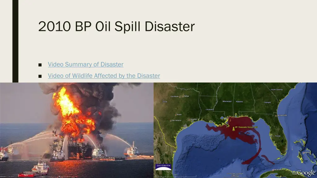 2010 bp oil spill disaster