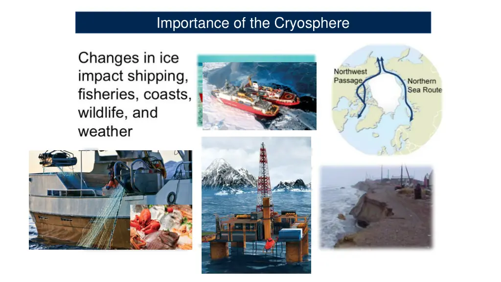 importance of the cryosphere