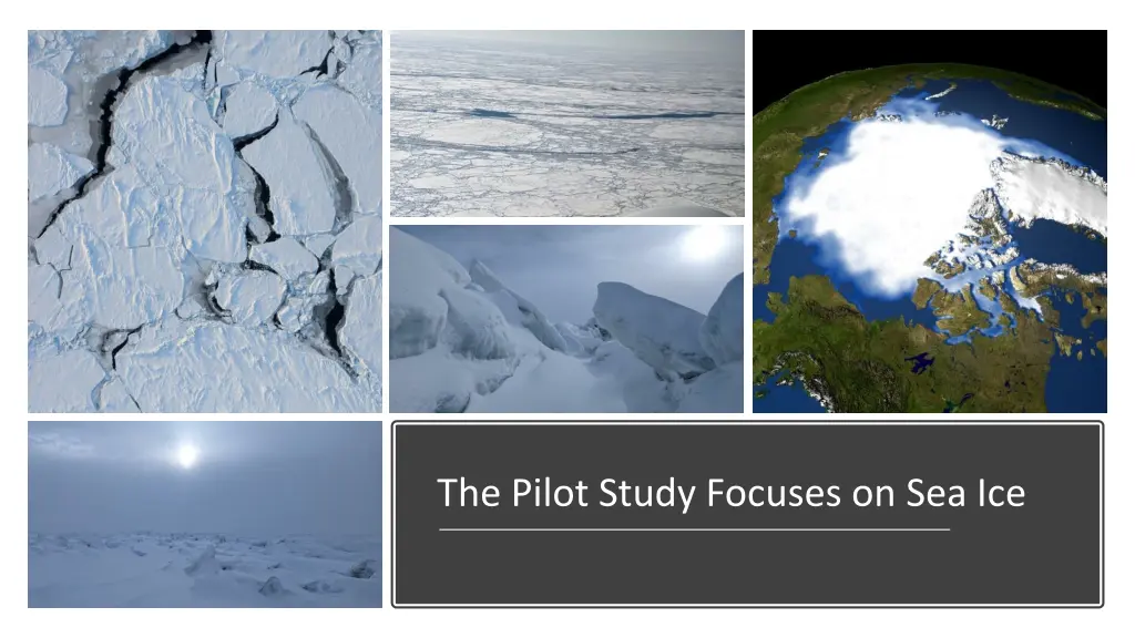 the pilot study focuses on sea ice