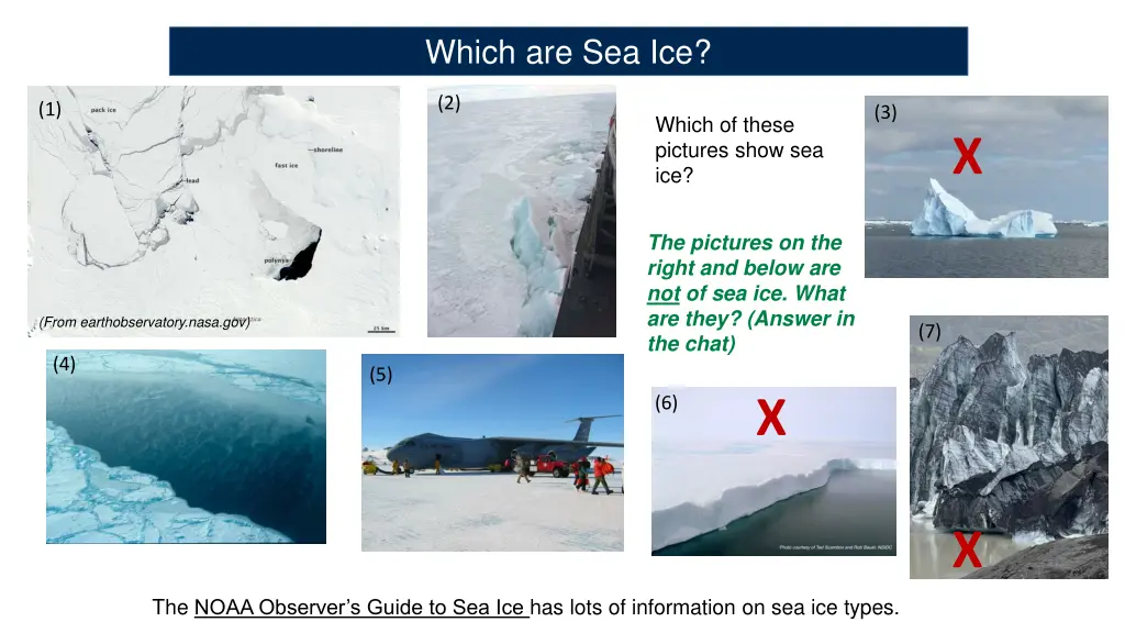 which are sea ice