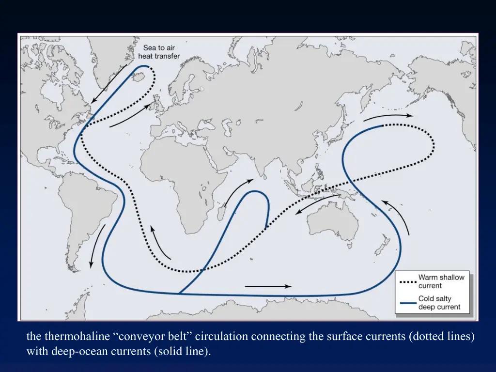 the thermohaline conveyor belt circulation