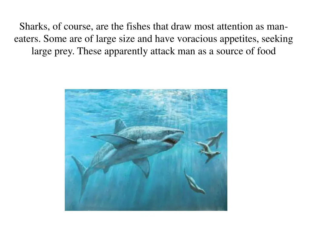 sharks of course are the fishes that draw most