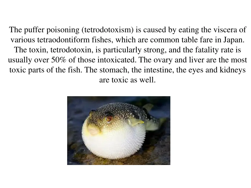 the puffer poisoning tetrodotoxism is caused