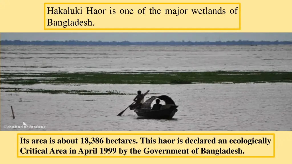 hakaluki haor is one of the major wetlands