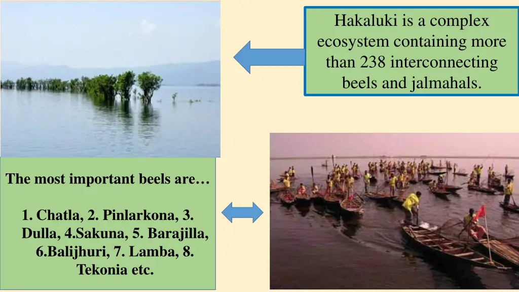 hakaluki is a complex ecosystem containing more