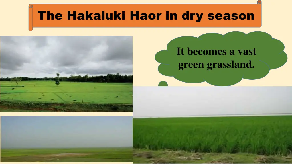 the hakaluki haor in dry season