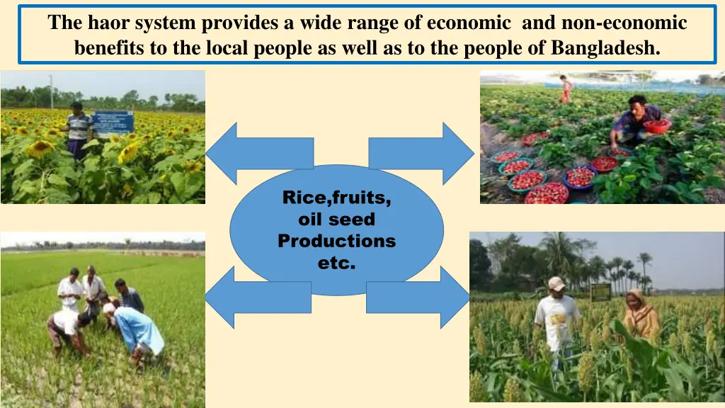 the haor system provides a wide range of economic