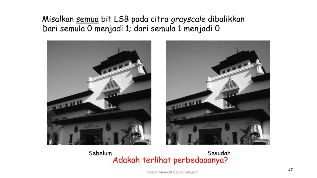 misalkan semua bit lsb pada citra grayscale