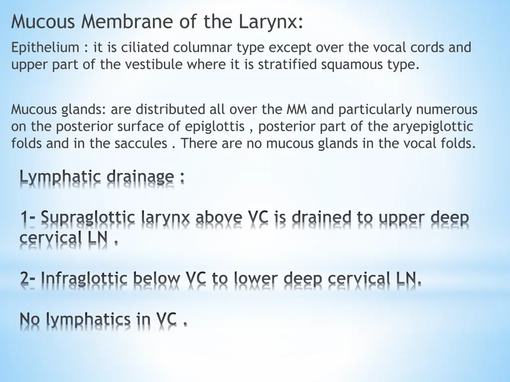 mucous membrane of the larynx epithelium