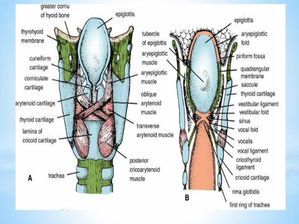 slide11