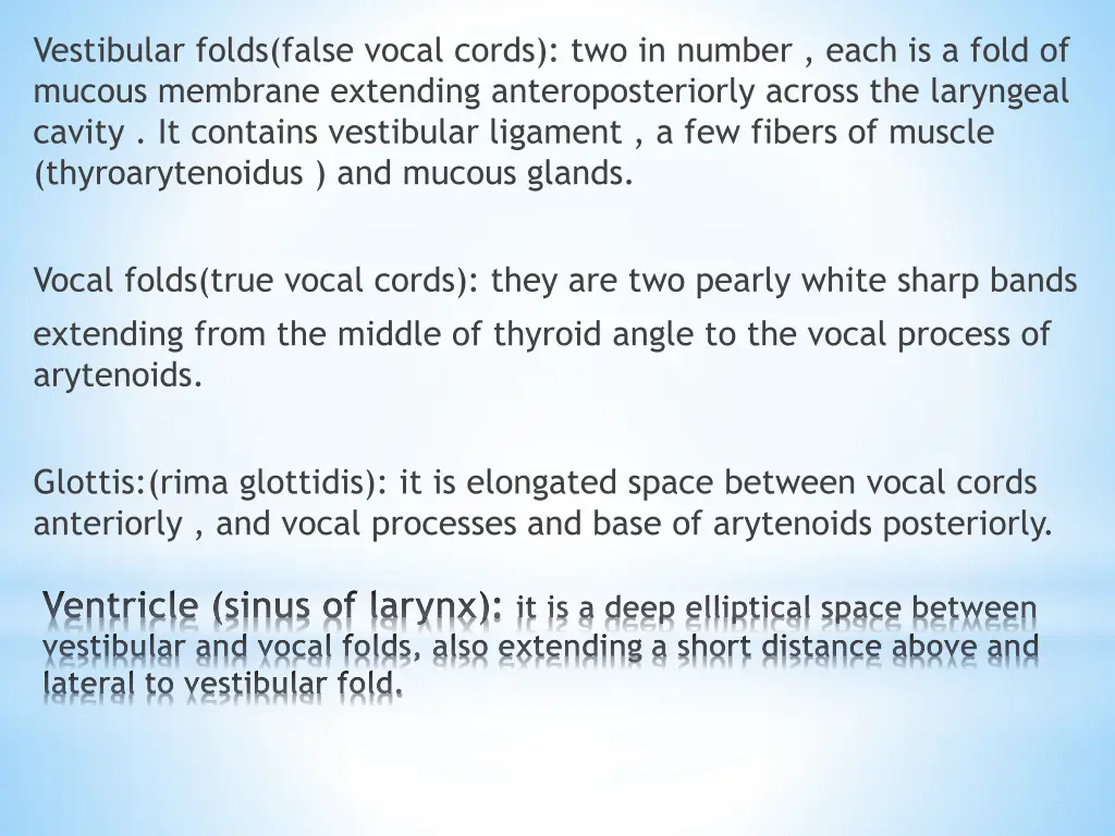 vestibular folds false vocal cords two in number