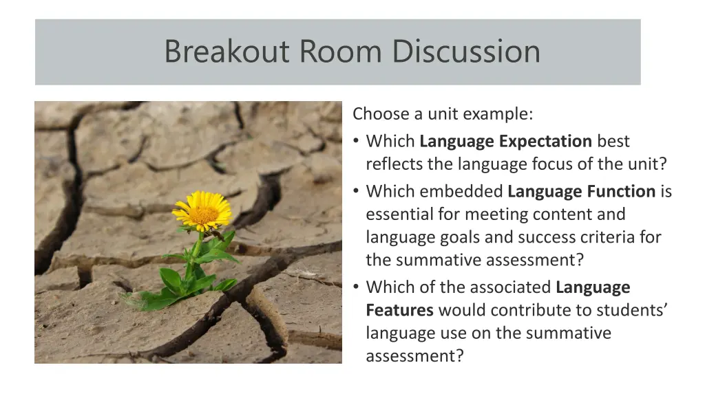 breakout room discussion 1