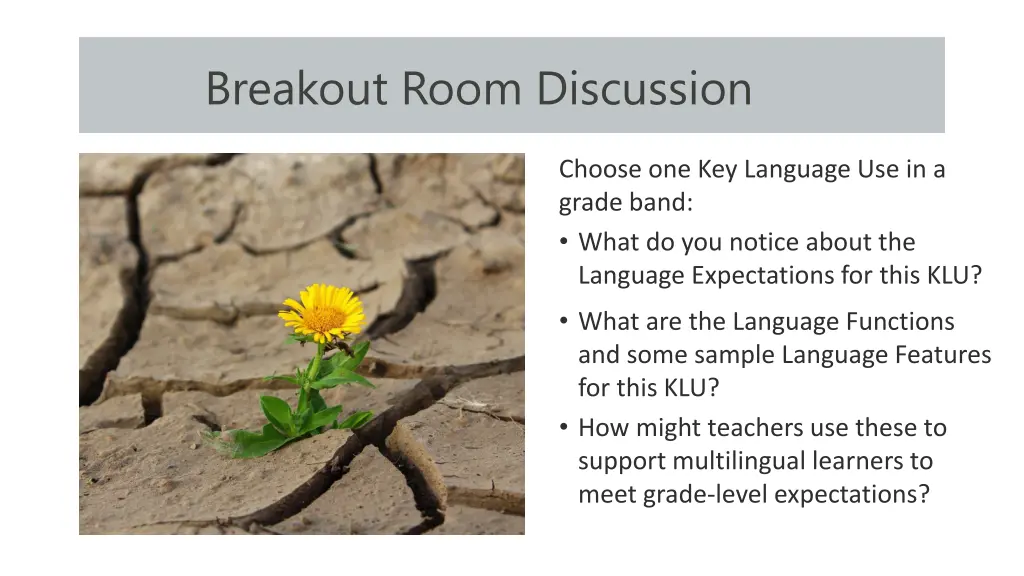breakout room discussion