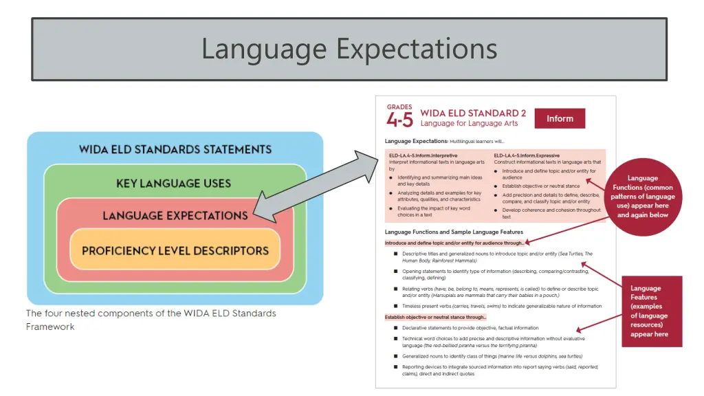 language expectations