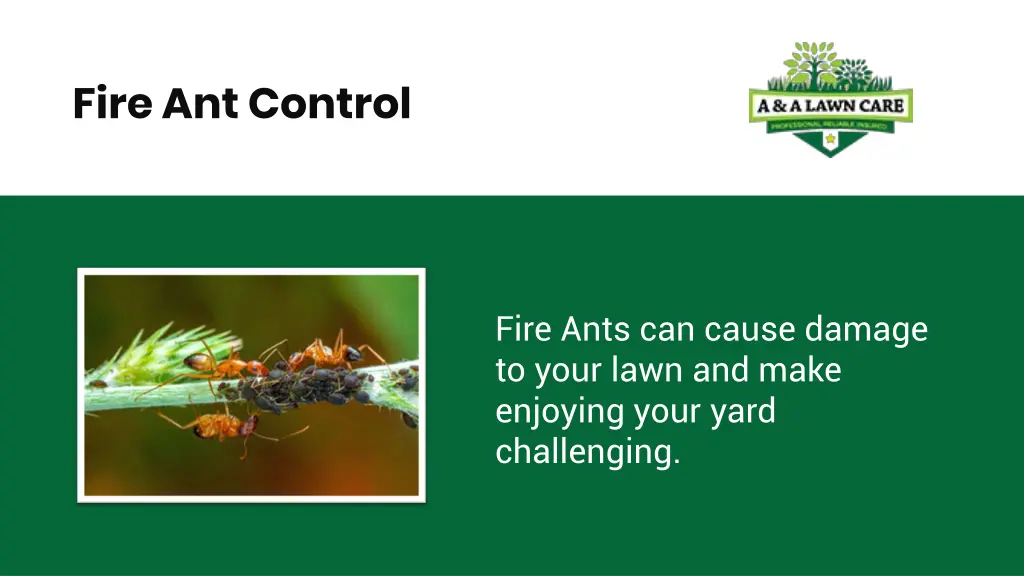 fire ant control