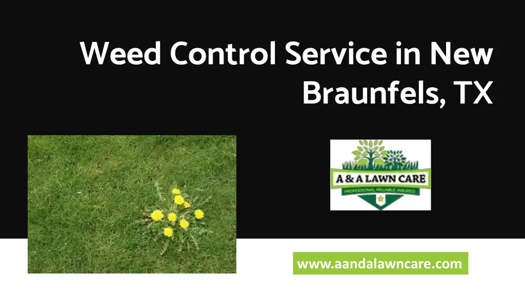 weed control service in new