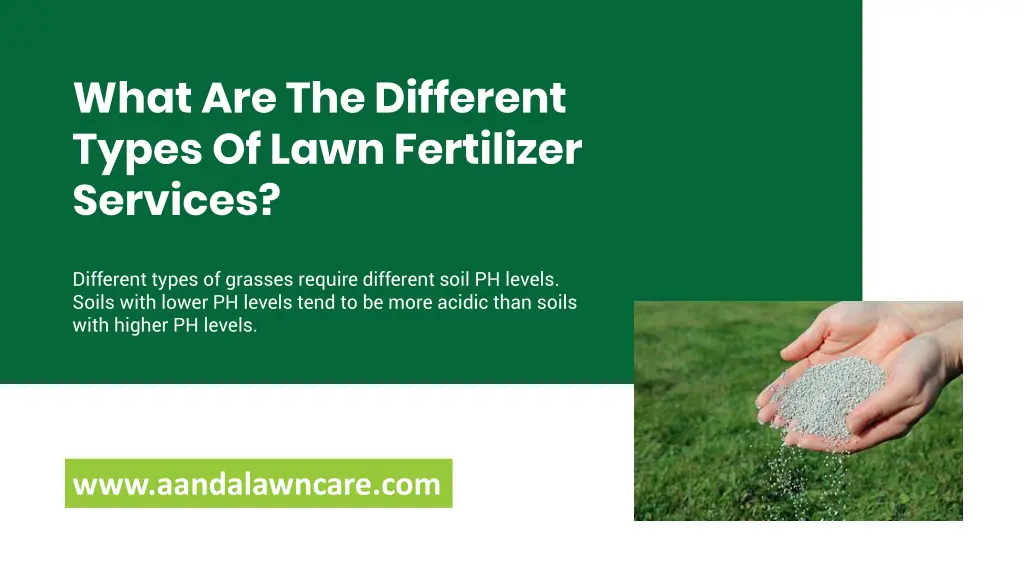 what are the different types of lawn fertilizer