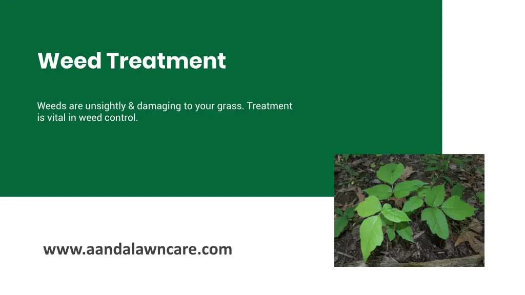 weed treatment